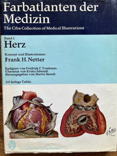 Netter CIBA Collection Herz