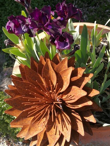 Edelrost blume lilly - edelrost,