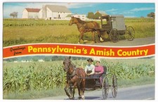AK Pennsylvania Dutch Country, Amish, Kutsche, Einspänner, aus 1972, gelaufen