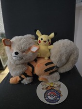 Pokemon Pikachu Und Arkani