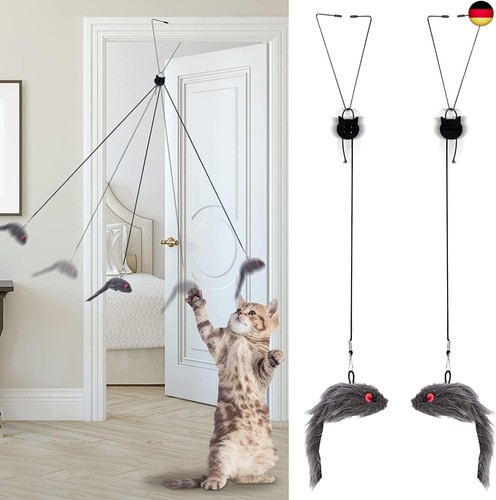 Stück katzenspielzeug - stück,