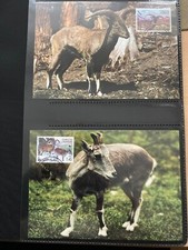 Tadschikistan 2005 Satz WWF Blauschaf Maximumkarten