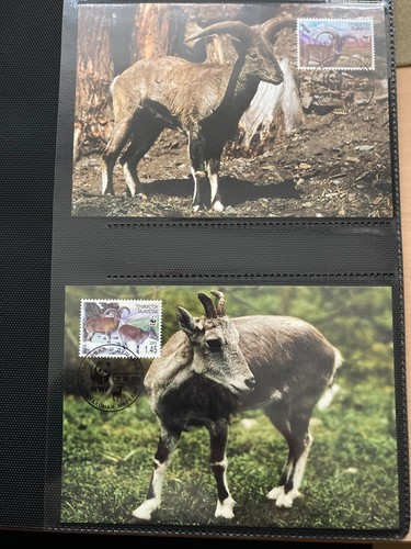 Tadschikistan 2005 satz wwf - 2005,