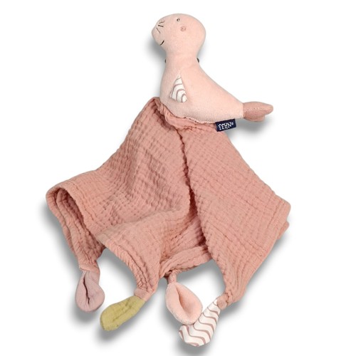 Baby fehn robbe - baby,