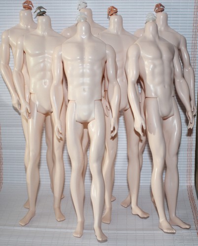 Barbie male model muse - male,