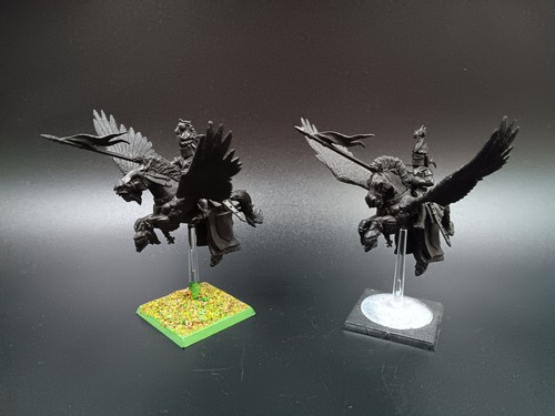 Pegasus knights bretonen - knights,