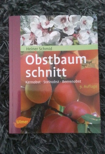 Obstbaumschnitt kernobst - kernobst,