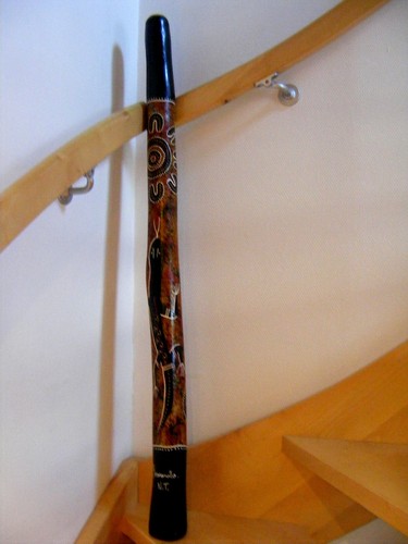 Didgeridoo eukalyptus - eukalyptus, /