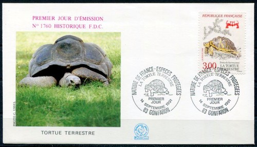 Schildkröte griechische - schildkröte.,