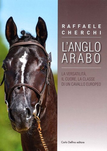 Englo arabo die - arabo.,