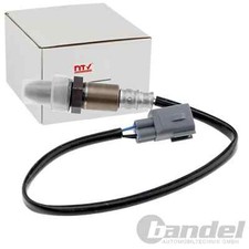 NTY LAMBDASONDE passend für