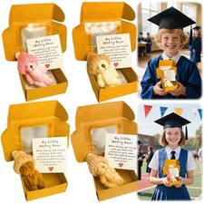 Mini Plush Teddy Bear in Box