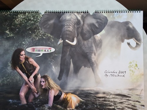 Pirelli kalender 2009 - pirelli,