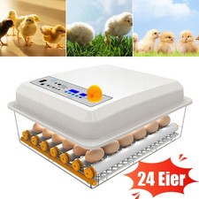 24 Eier Inkubator Automatische