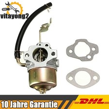 Generator Vergaser für Robin