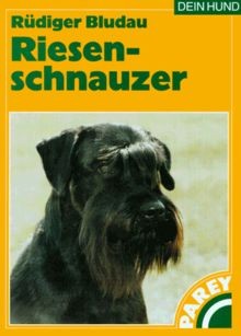Riesenschnauzer von bludau - riesenschnauzer.,