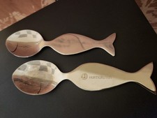 Hurtigruten Lebertran Löffel Hunting the light Arctic Circle 2 Stück Edelstahl