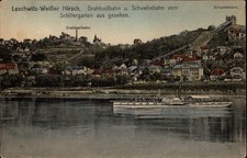 Loschwitz Weiber Hirsch