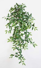 artplants Deko Tradescantia