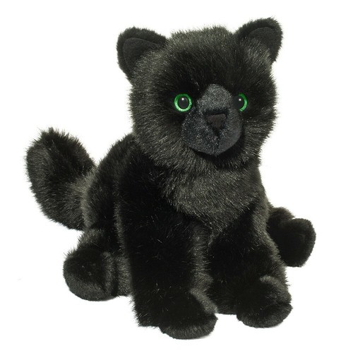 Schwarze katze salem - katze,