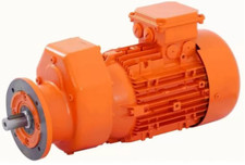 Original PFT Getriebemotor