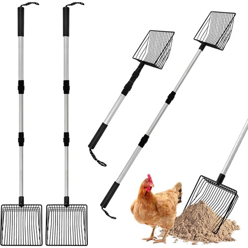 Chicken poop scooper - poop,