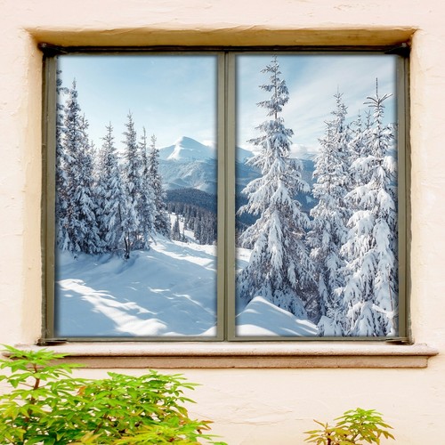 Schneewald c824 fenster - c824,