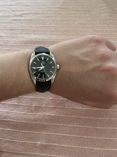 Omega seamaster aqua - seamaster, terra