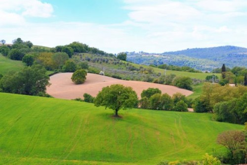 Wandbild toskana landschaft - wandbild:, toskana-landschaft
