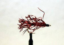 Juletrae rot in Gr. 4 für Meerforelle & Co