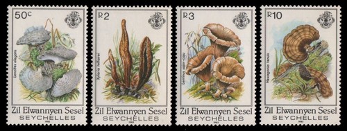 äußere seychellen 1985 - Äußere,