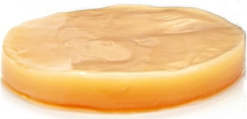 Bio kombucha teepilz - teepilz, scoby+