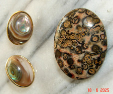 ÄLTERE SCHMUCK-SET FOSSILE KORALLE BROSCHE + OHRSTECKER PERLMUT OVAL GESCLIFFEN