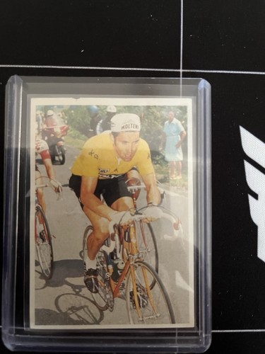 Fohlen eddy merckx serie - fohlen,