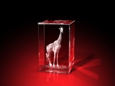 3D Glas Gravur Tiere Foto Bild Tiermotiv Laser Kristallglas Motiv Deko Geschenk