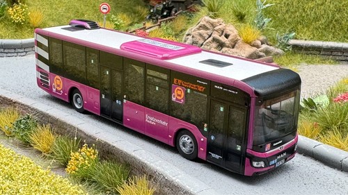 Man lion intercity - intercity, "
