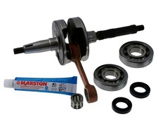 Kurbelwelle+Lager+Dichtringe+D