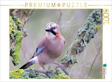 CALVENDO Puzzle Vögel aus