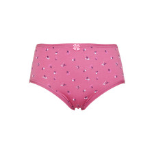Damen Slip Panty Höschen