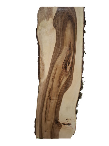 Nussbaum bohle brett - nussbaum,
