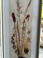 COLLAGE ECHTE NATURBLUMEN IN