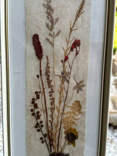Collage echte naturblumen - echte,