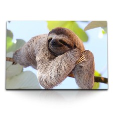 120x80cm Wandbild auf Leinwand