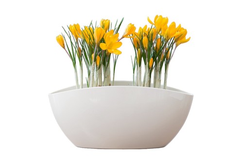 Orchideentopf rund übertopf - ,