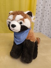 Althans Club Waschbär 22cm