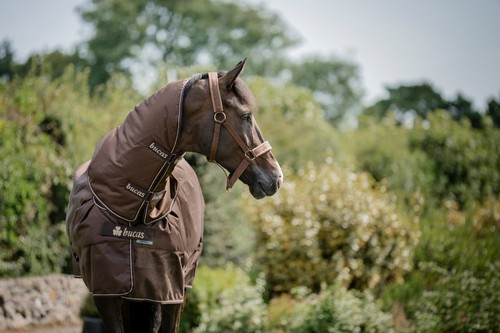 Bucas irish turnout 50g - 50g, +