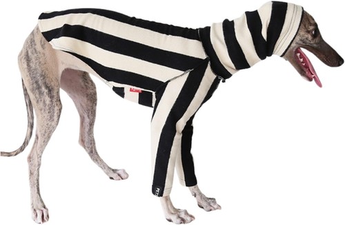 Windhund wintermantel schwarz - windhund-wintermantel,,