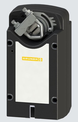Gruner federrücklauf - gruner,