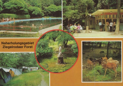 Ddr ziegelrodaer forst - ak, kr