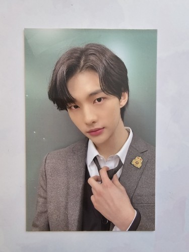 Stray kids hyunjin life - stray,